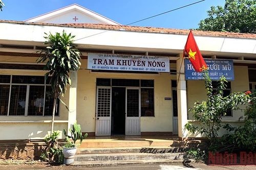 Trạm Khuyến nông thành phố Buôn Ma Thuột lập khống chứng từ thanh toán tiền phối giống bò