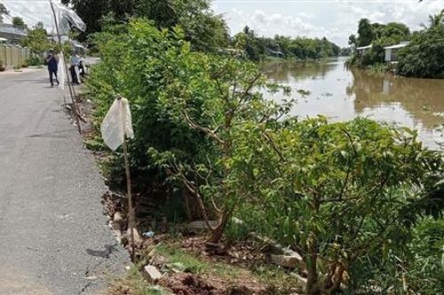 An Giang: Sụt lún tại tuyến đê bờ tây kênh Rạch Giá-Long Xuyên