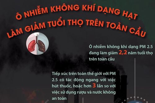 Ô nhiễm không khí dạng hạt làm giảm tuổi thọ trên toàn cầu