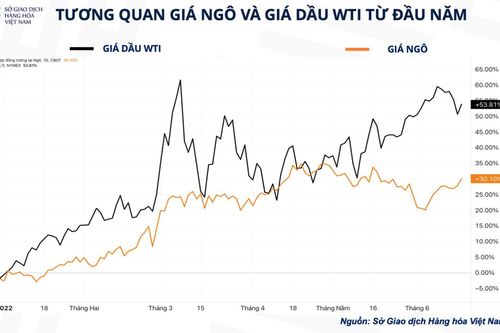 Giá xăng dầu lập kỉ lục, thị trường đặt câu hỏi 'Giá ngô bao giờ giảm?'