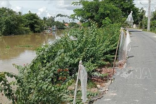 Sụt lún tại tuyến đê bờ tây kênh Rạch Giá - Long Xuyên