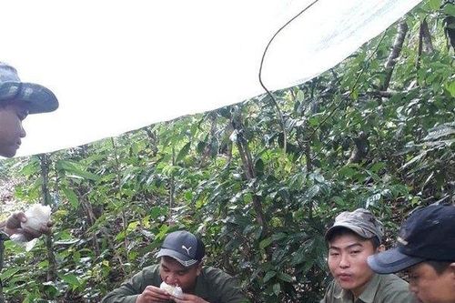 Nhiều cán bộ kiểm lâm ở Đắk Lắk xin nghỉ việc, từ chức, xuống chức