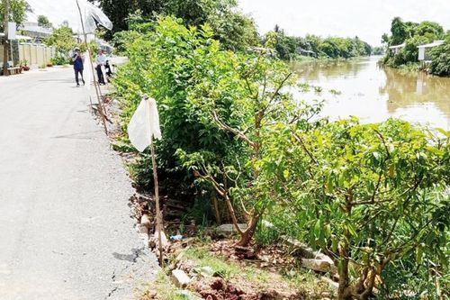 Nguy cơ sạt lở kênh Rạch Giá – Long Xuyên