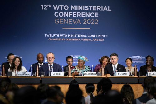 Sau 21 năm, WTO đạt đồng thuận về hạn chế trợ cấp nghề cá