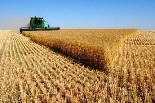 Nga tuyên bố chỉ xuất khẩu nông sản sang 'các nước thân thiện'