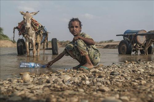 WFP cảnh báo tình trạng mất an ninh lương thực ở miền Nam Ethiopia