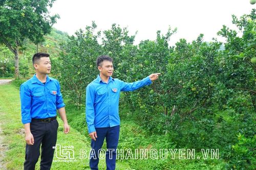 Vốn vay ưu đãi vẫn 'khó gần' với thanh niên