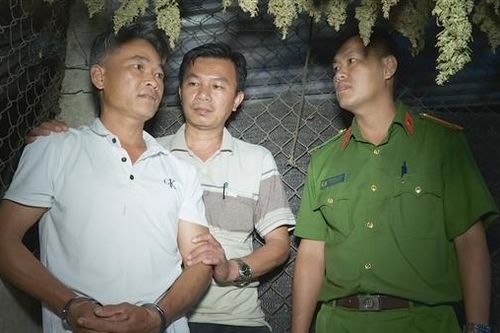 Khởi tố, bắt tạm giam đối tượng trồng cây cần sa trong vườn nhà
