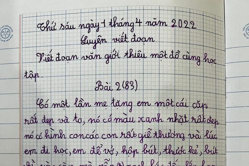 Bài văn giới thiệu đồ dùng học tập của học sinh tiểu học khiến cư dân mạng bật cười