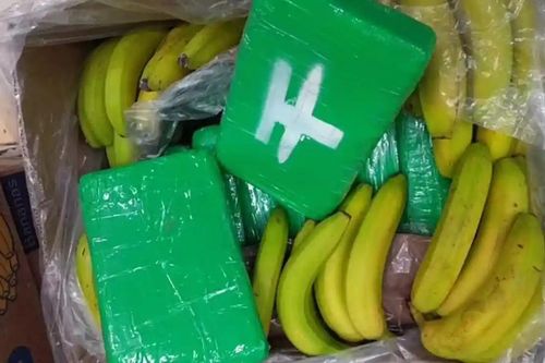 Phát hiện 840 kg cocaine trong thùng chuối ở siêu thị tại CH Czech