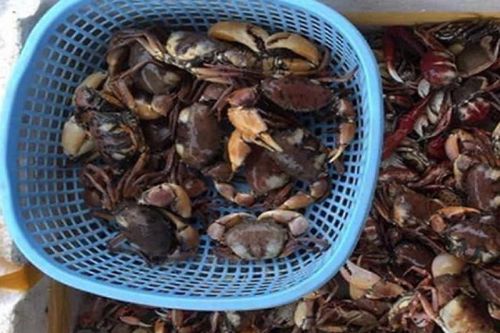 Bán 'đặc sản của nhà nghèo' ở thành phố khách đặt tới tấp