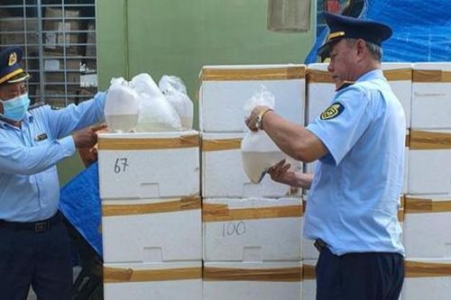 Phát hiện gần 400.000 con tôm càng xanh giống nhập lậu