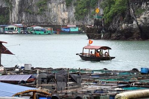 Hai tàu va chạm trên biển ở Cát Bà, một khách du lịch tử vong