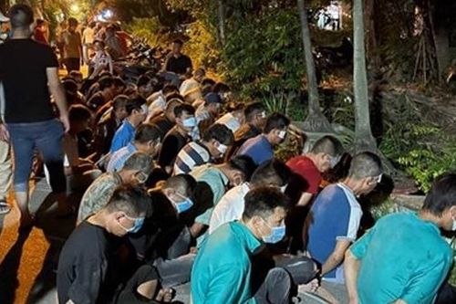 Triệt phá trường gà ven Rạch Nước Lên