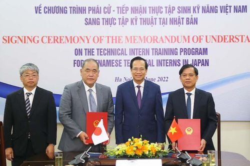 Mở rộng đối tượng tuyển chọn thực tập sinh sang Nhật Bản