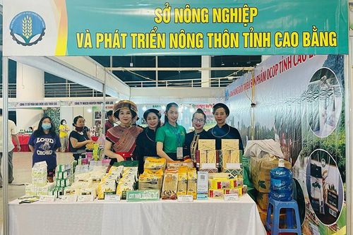 'Làn gió' mới từ phát triển sản phẩm OCOP vùng miền núi