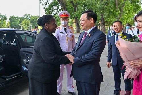 Chủ tịch Quốc hội Vương Đình Huệ đón, hội đàm với Chủ tịch Quốc hội Cộng hòa Mozambique