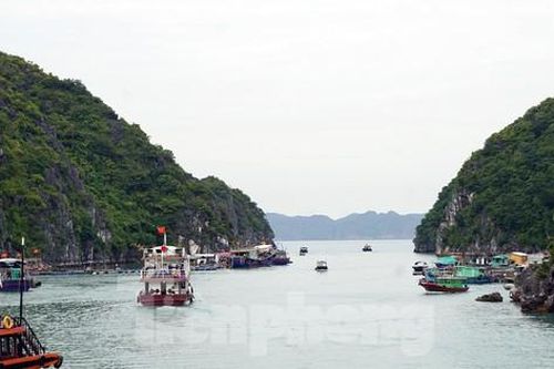 Tìm thấy thi thể nữ du khách trong vụ chìm tàu trên vịnh Lan Hạ