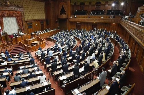Nhật Bản: 'Bão giá' trở thành tâm điểm trước bầu cử Thượng viện