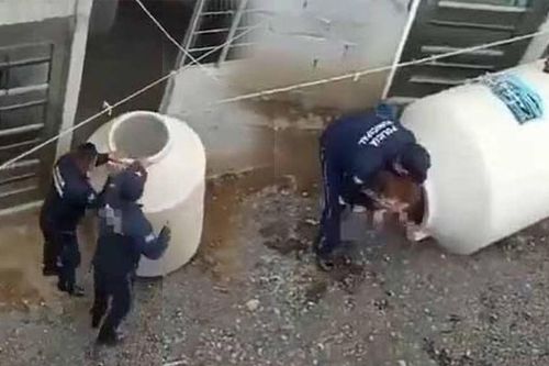Nghe thấy tiếng khóc ỉ ôi phát ra từ bồn nước, hàng xóm 'kinh hồn bạt vía' phát hiện bí mật động trời