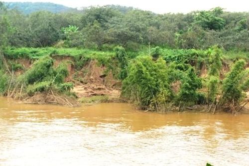 Sông Đồng Nai sạt lở hơn 3km