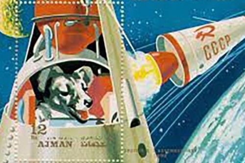 Câu chuyện buồn của Laika: Phi hành gia chó đầu tiên và chuyến bay 'một chiều' vào vũ trụ