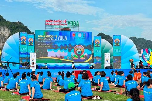 Ngày Quốc tế Yoga lần thứ 8 tại Quảng Ninh