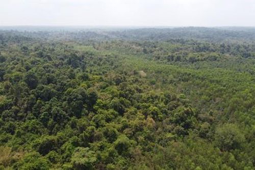 UNESCO đề nghị không làm đường qua vùng lõi Khu dự trữ sinh quyển thế giới Đồng Nai