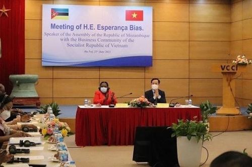 Mozambique 'rộng cửa' đón doanh nghiệp Việt Nam