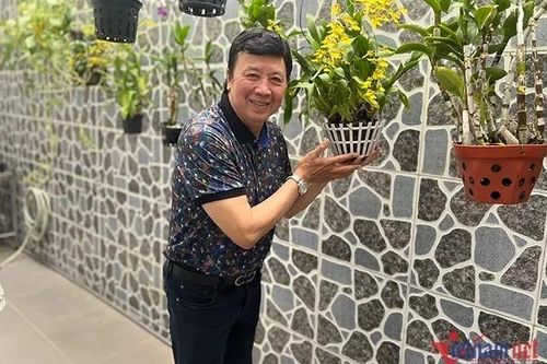 NSƯT Bảo Quốc ở tuổi 73: 3 lần cắt bỏ khối u gan, được người người ngưỡng mộ vì tình cảm vợ chồng thắm thiết