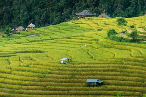 Thái Lan tung ưu đãi thuế nhằm thu hút các đoàn làm phim quốc tế