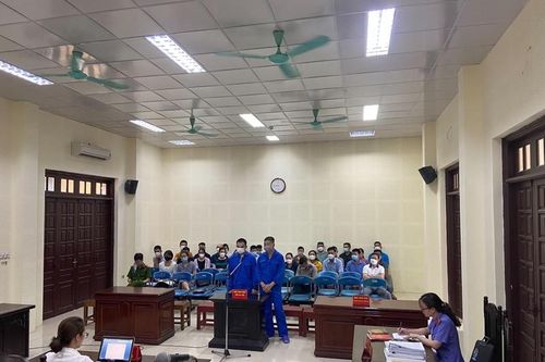 Quảng Ninh: 'Quả đắng' cho phụ xe vận chuyển trái phép động vật hoang dã