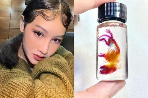 Cô nàng 10X có đam mê độc lạ với 'tiêu bản nhuộm xương' động vật