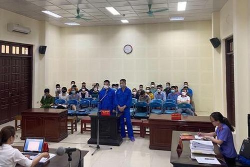 'Quả đắng' cho phụ xe vận chuyển trái phép động vật hoang dã
