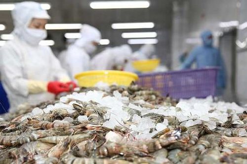 Xuất khẩu tôm tháng 5 bật tăng ở thị trường Trung Quốc