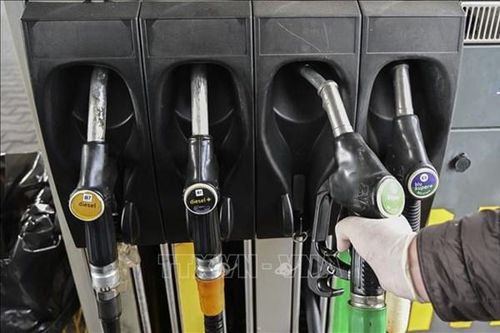 Các nước EU tìm kiếm giải pháp cho việc giá xăng tăng