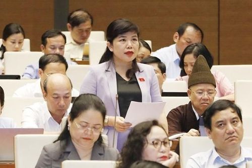 Đóng góp chất lượng vào công tác xây dựng pháp luật