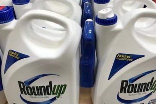 Tòa án tối cao Mỹ bác kháng cáo của nhà sản xuất hóa chất Bayer