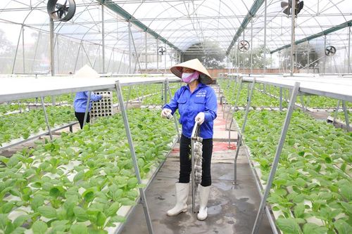 Tạo đột phá mới phát triển nông nghiệp
