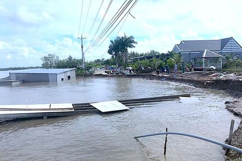 Hiểm họa sạt lở vùng sông nước Cà Mau