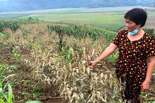 Xử phạt Nhà máy DAP Lào Cai 350 triệu đồng vi phạm môi trường