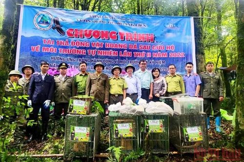 Thả 20 cá thể động vật hoang dã về rừng Hoàng Liên ở Sa Pa