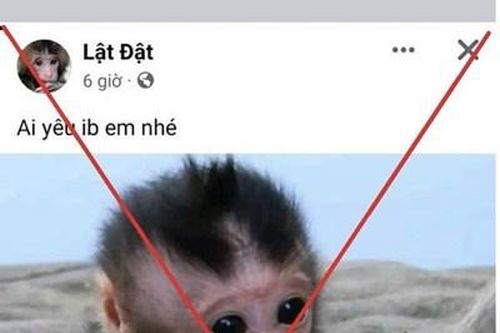 Gia tăng nạn buôn bán động vật hoang dã trên mạng xã hội