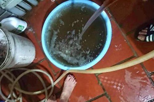 Diễn biến mới vụ người dân ở TP Vinh bất an khi nước máy đổi màu như nước cống