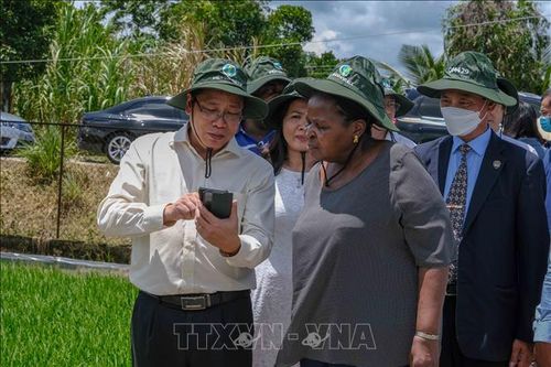 Chủ tịch Quốc hội Mozambique thăm Viện Lúa đồng bằng sông Cửu Long