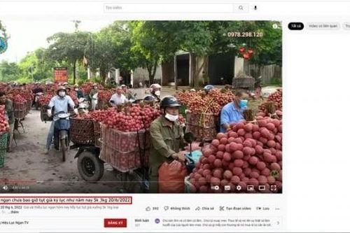 Bắc Giang lên tiếng về thông tin vải thiều giá 5 nghìn đồng/kg