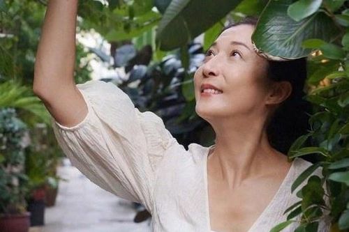 Ngô Ỷ Lợi chật vật kiếm tiền ở tuổi 49