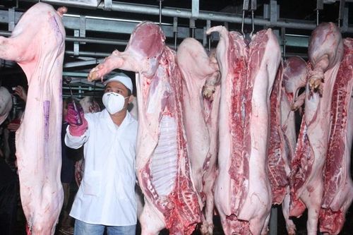 Sớm triển khai đề án xây dựng trung tâm chế biến gia súc, gia cầm tập trung