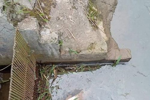 Lào Cai: Xác định nguyên nhân sự số nước suối đổi màu, ao chết cá