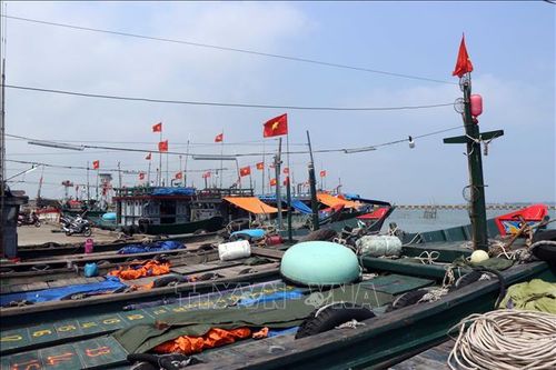 Kiến nghị hỗ trợ ngư dân bị ảnh hưởng bởi giá xăng, dầu tăng cao